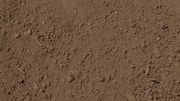 Show details for SCREENED TOPSOIL Picture of SCREENED TOPSOIL