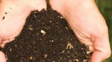 Picture of TOTE - PREMIUM 1/4" COMPOST