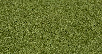 Show details for RYMAR PRO PUTT     **** FINAL SALE ON CUT ROLLS ***** Picture of RYMAR PRO PUTT     **** FINAL SALE ON CUT ROLLS *****