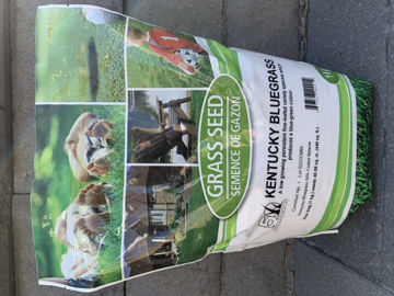 Show details for NO.1 KENTUCKY BLUEGRASS 2.2 Lbs (1 Kg) Picture of NO.1 KENTUCKY BLUEGRASS 2.2 Lbs (1 Kg)