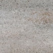 Picture of Viva Grande Coping