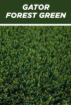 Picture of GATOR XTURF CLASSIC
