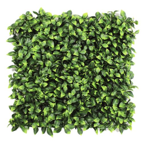 Picture of RYMAR ENVYWALL BENJAMINA BOXWOOD 20in x 20in