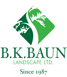bk baun logo